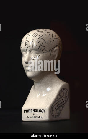 Zugeordneten Funktionen von phroenology auf menschlichen Kopf Schädel Büste Skulptur. Stockfoto