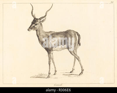 Gazel (Gazelle). Medium: radierung beendete Burin. Museum: Nationalgalerie, Washington DC. Autor: jacques-philippe Le Bas und Jean Eric Rehn nach Jean-Baptiste Oudry. Stockfoto