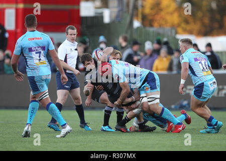 NEWCASTLE UPON TYNE. 28. Oktober 2018 Ben Stevenson von Newcastle Falken ist während der Premiership Cup Match zwischen Newcastle Falcons und Exeter Chiefs bei Kingston Park, Newcastle am Sonntag, den 28. Oktober 2018 in Angriff genommen. © MI Nachrichten & Sport Ltd | Alamy leben Nachrichten Stockfoto