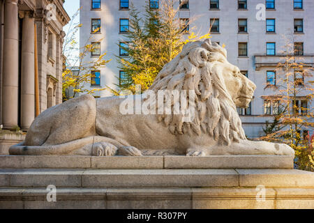 Eine der Lion Statuen vor der Vancouver Art Gallery in British Columbia, Kanada. Stockfoto