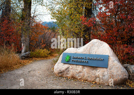 Oktober 1, 2018: Schöne Herbstfarben Linie eine Spur im Laurance S. Rockefeller erhalten, Grand Teton National Park, Jackson, Wyoming, USA. Stockfoto