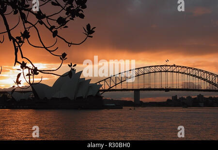 Sonnenuntergang über Sydney: Harbour Bridge und das Opera House, NSW, Australien. Hintergrundbeleuchtung gegen die untergehende Sonne. Stockfoto