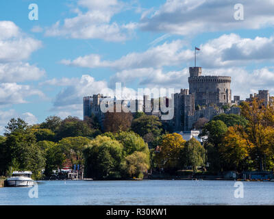 Blick auf Windsor Castle über die Themse mit Herbst Bäume, Windsor, Berkshire, England, UK, GB. Stockfoto