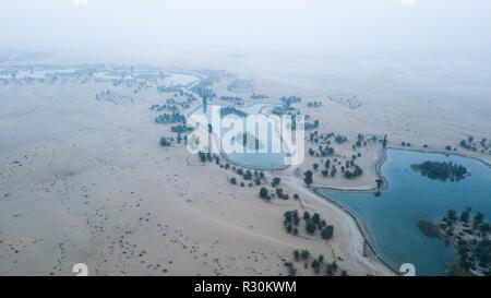 Al Qudra See in Dubai Stockfoto