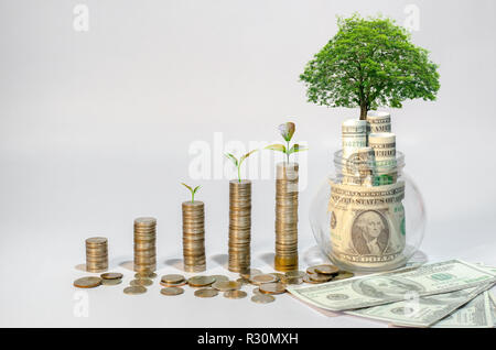 Geld Wachstum spart Geld. Oberen baum Münzen gezeigt Konzept für wachsende Unternehmen Stockfoto
