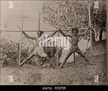 "Christlichen Verkünder und Zeichen unserer Zeit" (1896) Stockfoto