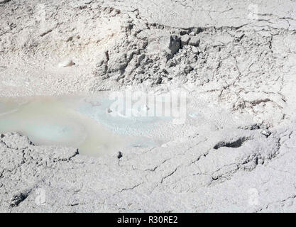 Schlamm Blasen in einen Farbtopf im Yellowstone National Park in Wyoming Stockfoto