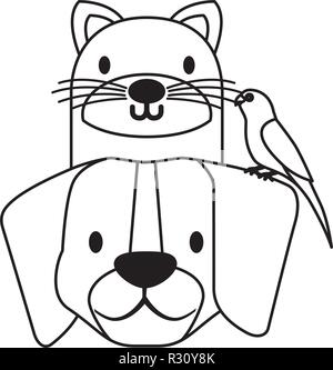 Haustiere Hund und Katze kanarische Vogel Vector Illustration Stock Vektor
