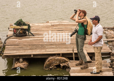 Ein Tourist auf Vögel Overhead in der Kolumbianischen Amazon suchen. Stockfoto