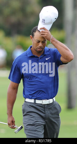 DORAL, FL - 10. März: Tiger Woods und Phil Mickelson, der in der ersten Runde der 2011 WGC - Cadillac Meisterschaft an der TPC Blue Monster am Doral Golf Resort und Spa. Ein schwerer Sturm zerrissen durch den Kurs und alle Arten von Schäden, einschließlich der Anzeiger unten fallen. am 10. März in Doral, Florida 2011. Personen: Tiger Woods Stockfoto