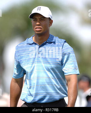 DORAL, Florida - 20. NOVEMBER: (Fotos) Das Warten hat ein Ende. Capital One's das Spiel zum ersten Mal, Kopf-an-Kopf Duell zwischen 14 - Zeithauptmeister Tiger Woods und fünf Zeithauptmeister Phil Mickelson. Die Einsätze sind hoch, mit Tiger und Phil für die winner-take-all $ 9 Million Preis konkurrieren, der Freitag nach Thanksgiving, bei der exklusiven Shadow Creek Golf Course in Las Vegas Leute: Tiger Woods Stockfoto