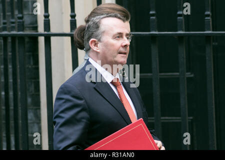 London, Großbritannien. 21. November 2018. Dr. Liam Fox MP für East Kilbride und der Staatssekretär für internationalen Handel und der Präsident des Board of Trade kommt an der Downing Street mit einem Aide Credit: Amer ghazzal/Alamy leben Nachrichten Stockfoto