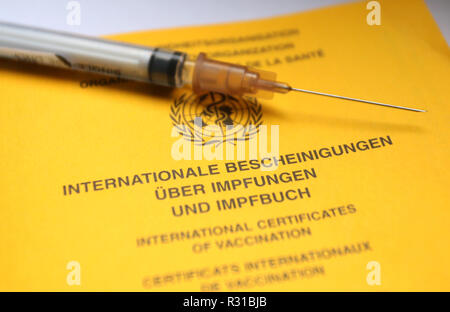 Abbildung - 21. November 2018, Bayern, Würzburg: Es gibt eine Spritze auf einem Impfpass. Grippeimpfstoffe werden knapp in vielen Teilen Deutschlands. Foto: Karl-Josef Hildenbrand/dpa Stockfoto