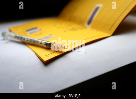 Abbildung - 21. November 2018, Bayern, Würzburg: Es gibt eine Spritze auf einem Impfpass. Grippeimpfstoffe werden knapp in vielen Teilen Deutschlands. Foto: Karl-Josef Hildenbrand/dpa Stockfoto