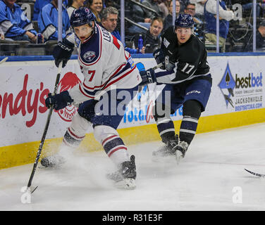South Carolina Stingrays defenseman Joey Leach (7) und Jacksonville Eisgruben steigt vorwärts Everett Clark (17), der während des ersten Anwendungszeitraums der ein echl Professional Hockey Spiel am Veterans Memorial Arena in Jacksonville, Fla., Dienstag, November 20, 2018. (Gary Lloyd McCullough/Cal Sport Media) Stockfoto