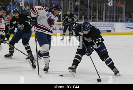 South Carolina Stingrays Verteidiger Tim Davison (6) und Jacksonville Eisgruben steigt vorwärts Cameron Critchlow (23) während der ersten Zeit der ein echl Professional Hockey Spiel am Veterans Memorial Arena in Jacksonville, Fla., Dienstag, November 20, 2018. (Gary Lloyd McCullough/Cal Sport Media) Stockfoto