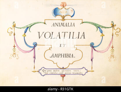 Animalia Volatilia et Amphibia (Aier): Titel Seite. Vom: C. 1575/1580. Abmessungen: Größe (ca.): 14,3 x 18,4 cm (5 5/8 x 7 1/4 in.). Medium: Aquarell und Gouache mit Gold. Museum: Nationalgalerie, Washington DC. Autor: joris Hoefnagel. Stockfoto