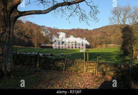 42073 Köpfe in Richtung Newby Bridge am See & Haverthwaite Eisenbahn. Stockfoto