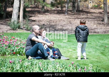 Eine Mama und Papa entspannt im Gras im Gespräch mit einem kleinen Jungen. Stockfoto