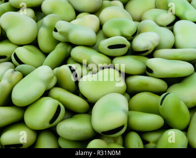 Frisch podded Bohnen auf dem weißen Teller vorbereitet, isoliert weißer Hintergrund Stockfoto