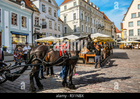 Touristen umgeben einen Arbeit Pferd Ziehen einer Kutsche für Mietwagen in der historischen Altstadt des mittelalterlichen Baltischen Stadt Tallinn, Estland. Stockfoto