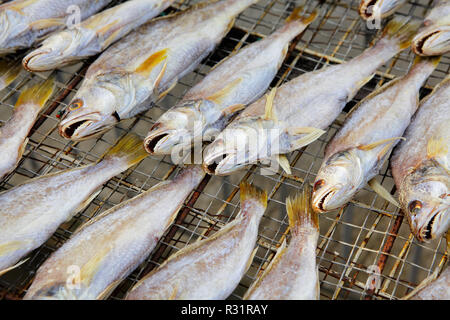 Stockfoto