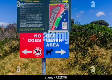 Australische Zeichen auf einem bestimmten Hund übung Freizeit ohne Leine Strand, keine Hunde und Bereiche ohne Leine am Strand, NSW, Australien Stockfoto