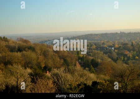 Reigate Hill, Sonnenuntergang im Herbst Stockfoto