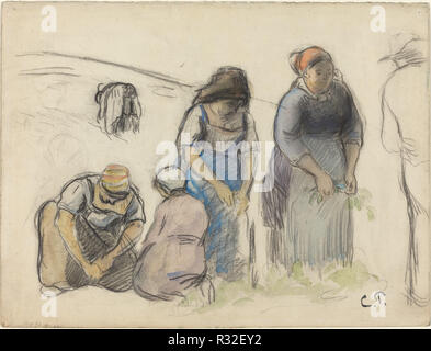 Pea Erntemaschinen [Vorderseite]. Vom: C. 1880. Maße: gesamt: 23,9 x 31,7 cm (9 5/6 x 12 1/2 in.). Medium: Kohle und Aquarell auf schwerem Papier webten. Museum: Nationalgalerie, Washington DC. Autor: Camille Pissarro. Stockfoto