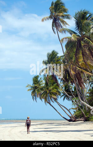 Eine schöne, junge afrikanische brasilianische Frau auf einem idyllischen Strand in Bahia Stockfoto