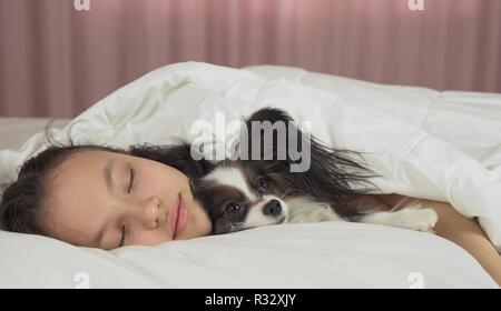 Schöne jugendlich Mädchen süß schlafen im Bett mit Papillon dog Stockfoto