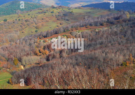 Buchenwälder in den nördlichen Abhang der Sierra de Toloño, eine karstige massiv in der Nähe von Labastida, Baskenland Stockfoto