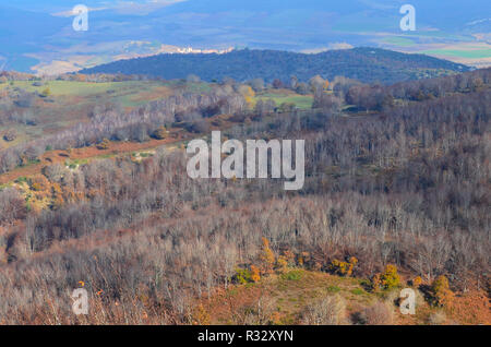 Buchenwälder in den nördlichen Abhang der Sierra de Toloño, eine karstige massiv in der Nähe von Labastida, Baskenland Stockfoto