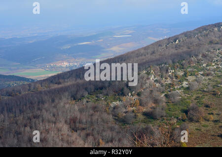 Buchenwälder in den nördlichen Abhang der Sierra de Toloño, eine karstige massiv in der Nähe von Labastida, Baskenland Stockfoto