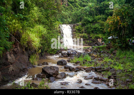 Waimea Valley fällt, Hawaii Stockfoto