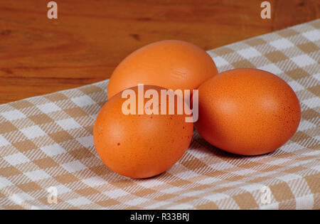 Ostern Blumen Stockfoto