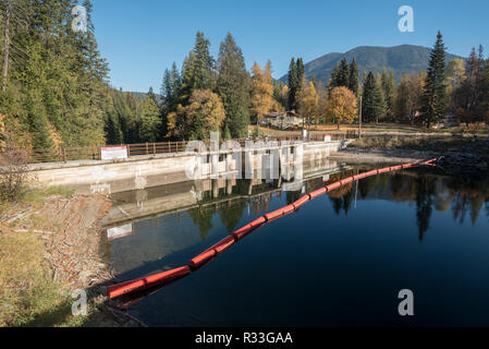 Sullivan Lake Dam, Washington. Stockfoto