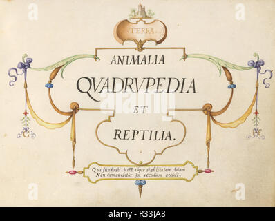 Animalia Qvadrvpedia et Reptilia (Terra): Titel Seite. Vom: C. 1575/1580. Abmessungen: Größe (ca.): 14,3 x 18,4 cm (5 5/8 x 7 1/4 in.). Medium: Aquarell und Gouache auf Pergament mit Gold. Museum: Nationalgalerie, Washington DC. Autor: joris Hoefnagel. Stockfoto