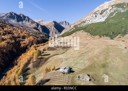 Herbst in Berg, Tal von federia. Livigno Wald und Felder Stockfoto