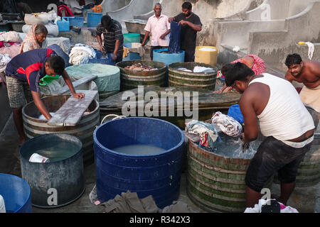 Dhobi oder washermen der Nordindischen dhobi Kaste Kanaujia, Wäsche waschen bei walkeshwar Dhobi Ghat in Mumbai, Indien Stockfoto