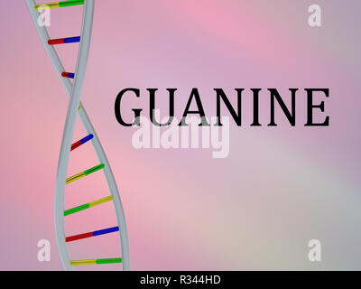 3D-Darstellung von GUANIN script mit DNA-Doppelhelix, auf farbigem Hintergrund. Stockfoto