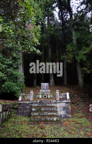 Steinerne Stufen bis zu einem mystischen Wald am Tobiishi Hachiman Schrein in Nikko, Japan. Stockfoto