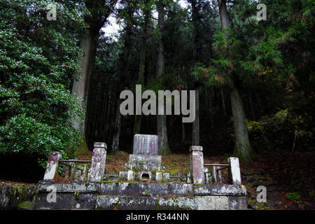 Steinerne Stufen bis zu einem mystischen Wald am Tobiishi Hachiman Schrein in Nikko, Japan. Stockfoto