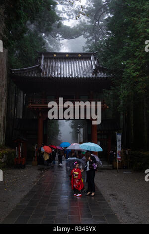 Menschen zu Fuß auf den Weg und hinter Al aufwendige rotes Tor in der Nähe der Toshogu in Nikko, Japan. Stockfoto