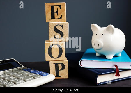 ESOP Employee Stock Ownership Plans. Würfel mit Buchstaben.