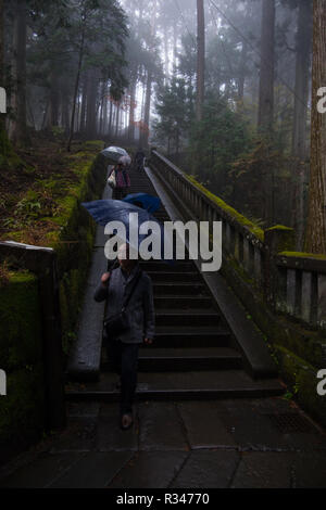 Menschen zu Fuß mit Sonnenschirmen im Regen und Nebel auf der Treppe, die zu Kanosugi am Toshogu in Nikko, Japan. Stockfoto