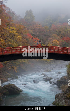 Ein Blick auf die schönen Shinkyo Brücke in Nikko, Japan auf einem Nebelhaften, Herbst Tag mit peak Herbst Farbe. Stockfoto