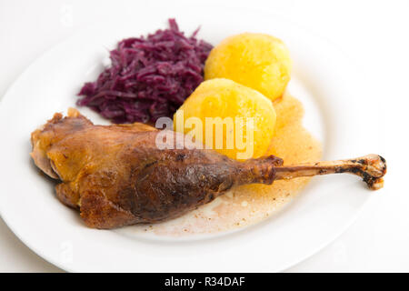 Gans-Bein Stockfoto