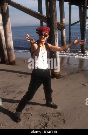 MALIBU, CA - 27. Januar: (exklusiv) Schauspieler Damon Pampolina stellt an den exklusiven Fotoshooting am 27. Januar 1993 in Malibu, Kalifornien. Foto von Barry King/Alamy Stock Foto Stockfoto