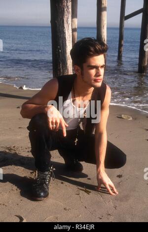 MALIBU, CA - 27. Januar: (exklusiv) Schauspieler Damon Pampolina stellt an den exklusiven Fotoshooting am 27. Januar 1993 in Malibu, Kalifornien. Foto von Barry King/Alamy Stock Foto Stockfoto